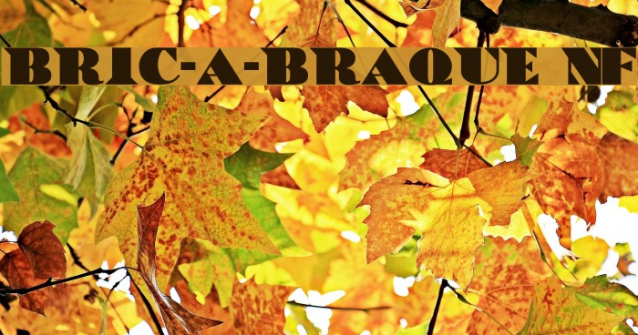 Bric-a-Braque NF Fonte examples