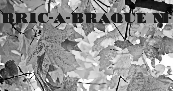 Bric-a-Braque NF Font examples