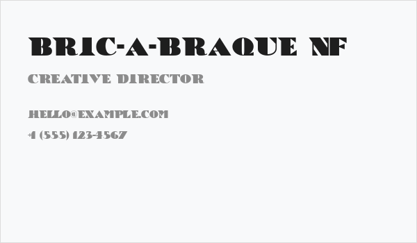 Bric-a-Braque NF Business Card