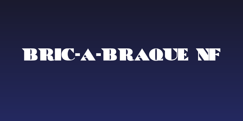 Bric-a-Braque NF Social Header