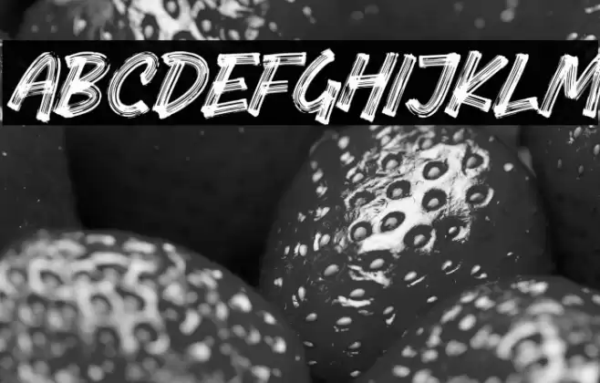 Brich-Regular Font examples