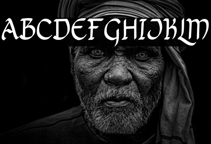 Bricius Free Trial Example 1