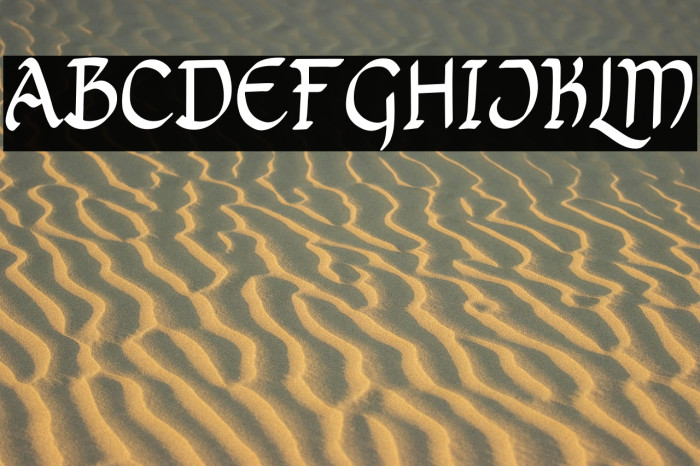 Bricius Free Trial Example 2