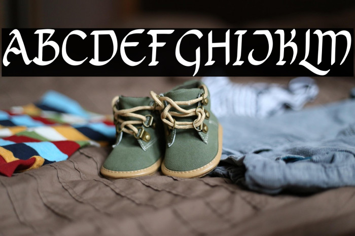 Bricius Free Trial Example 3