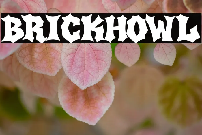Brick Howl Example 3