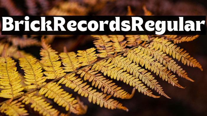 Brick Records Regular Example 1