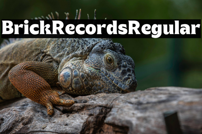 Brick Records Regular Example 3