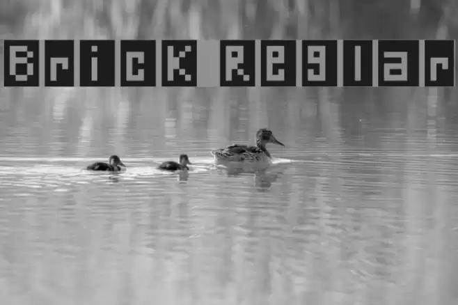 Brick Regular Font examples