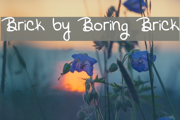 Brick by Boring Brick Example 1