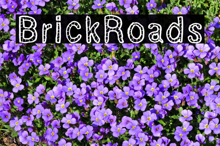 BrickRoads Example 1