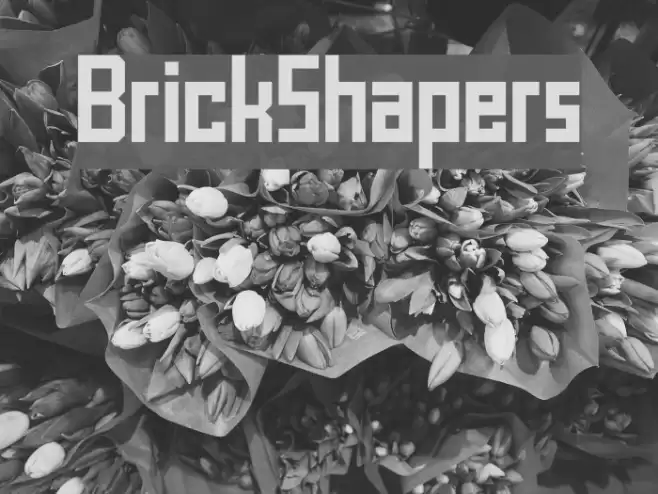 BrickShapers Font examples