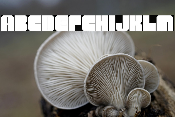 BrickTetris Example 2