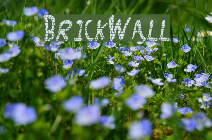 Brick_Wall Example 1