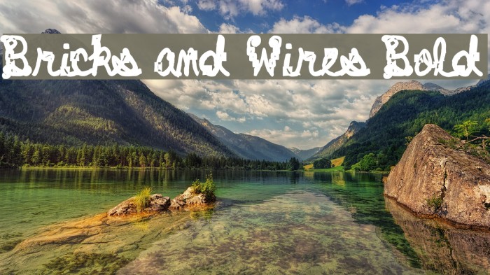 Bricks and Wires Bold Font examples