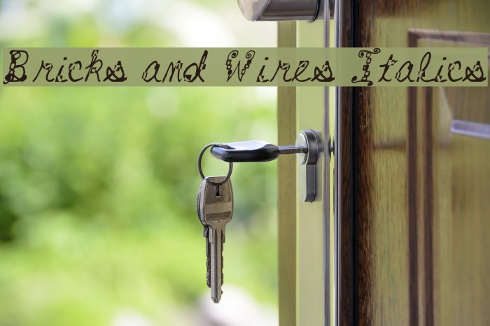 Bricks and Wires Italics Caratteri examples