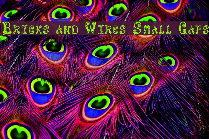 Bricks and Wires Small Caps Font examples