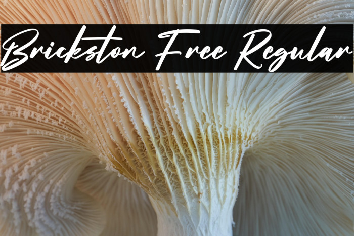 Brickston Free Regular Example 1