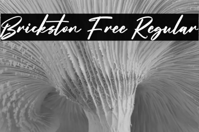Brickston Free Regular Font examples