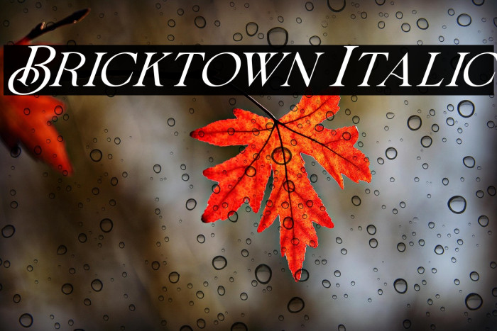 Bricktown Italic Example 1