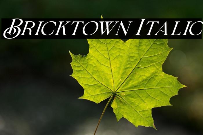 Bricktown Italic Example 3