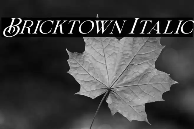 Bricktown Italic Font examples