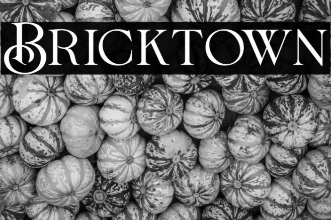 Bricktown Font examples