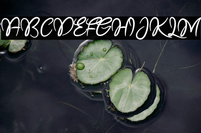 Bridal Love Example 2