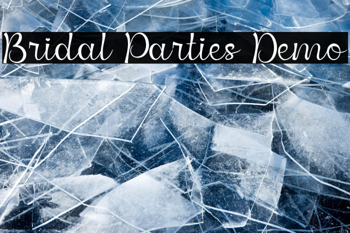 Bridal Parties Demo Example 2