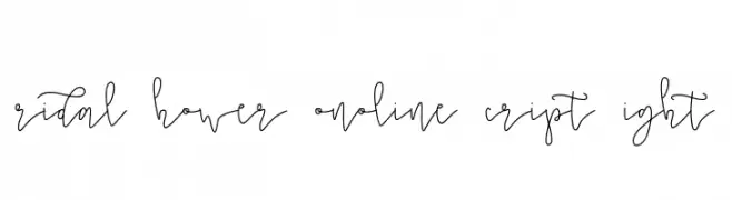 Bridal Shower Monoline Script Light  Descarca Fonturi Gratis