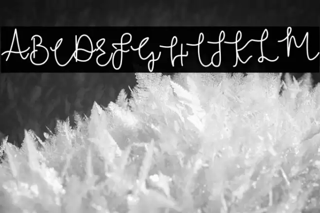 Bridal Tale Font examples