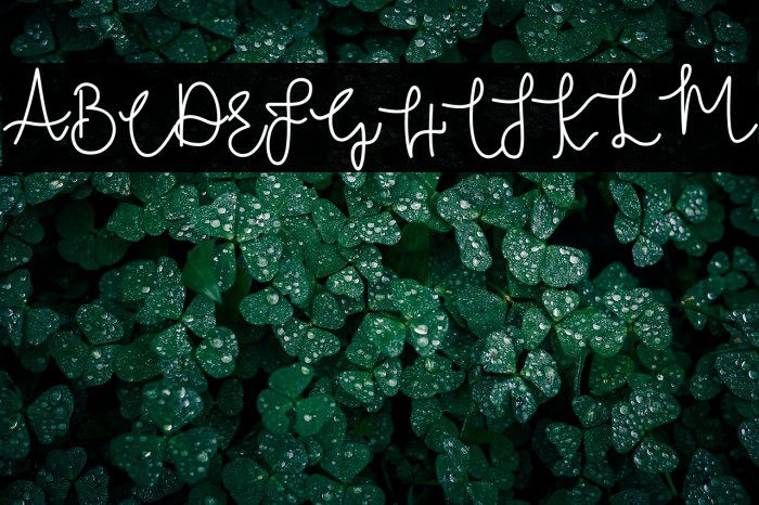 Bridal Tale Example 3