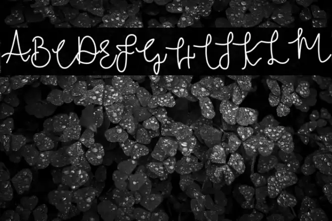 Bridal Tale Font examples