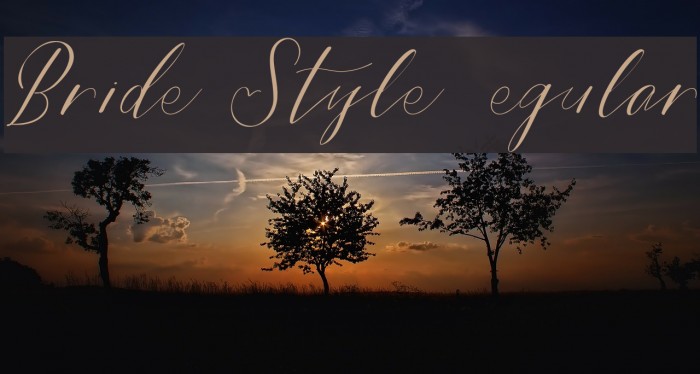 Bride Style DEMO Regular Font examples