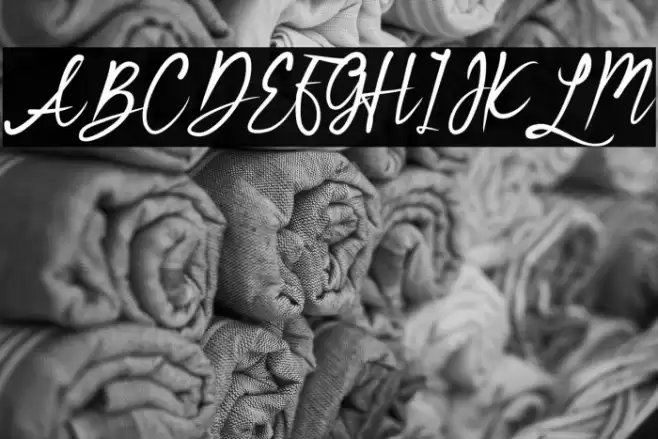 Bridesmaid Font examples