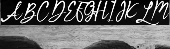 Bridesmaid Font examples