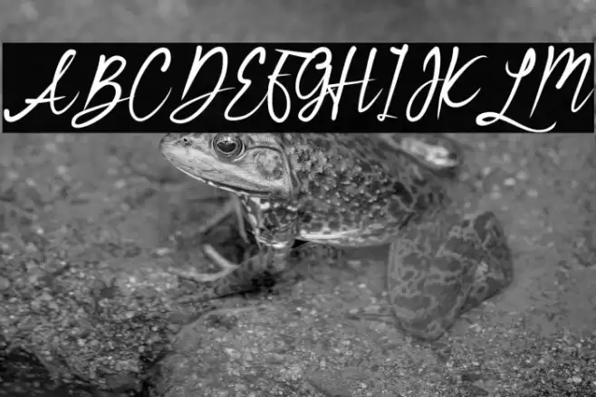 Bridesmaid Font examples