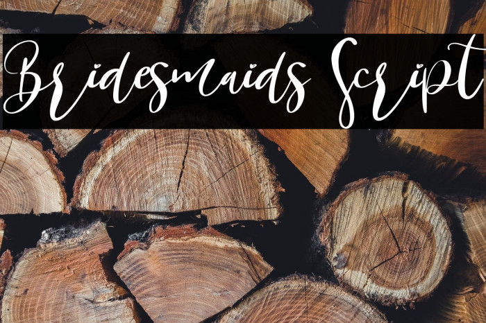 Bridesmaids Script Example 1