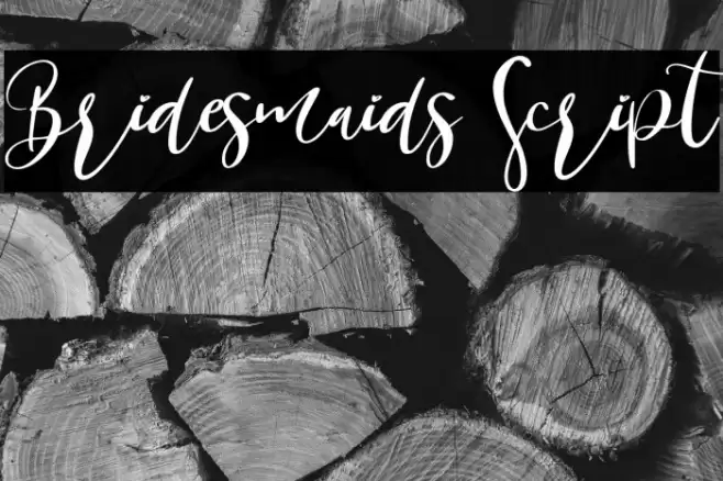 Bridesmaids Script Font examples