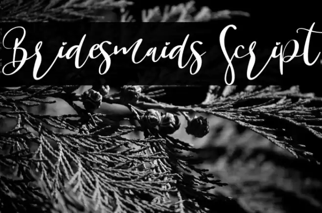 Bridesmaids Script Font examples