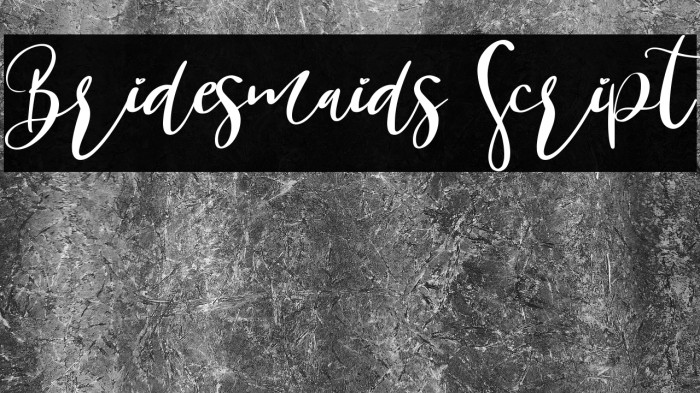 Bridesmaids Script Example 3