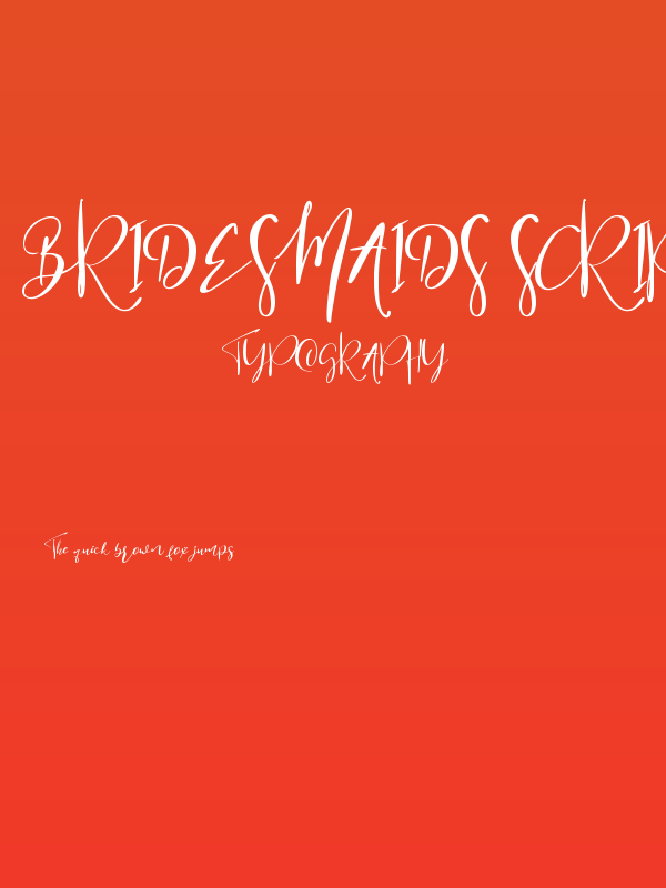 Bridesmaids Script Poster