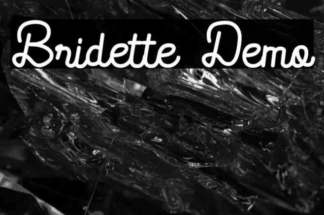 Bridette Demo Polices examples