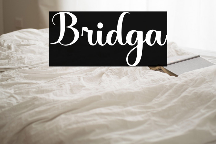 Bridga Example 1