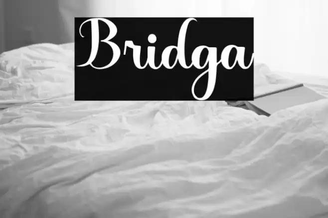 Bridga Font examples