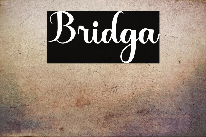 Bridga Example 2