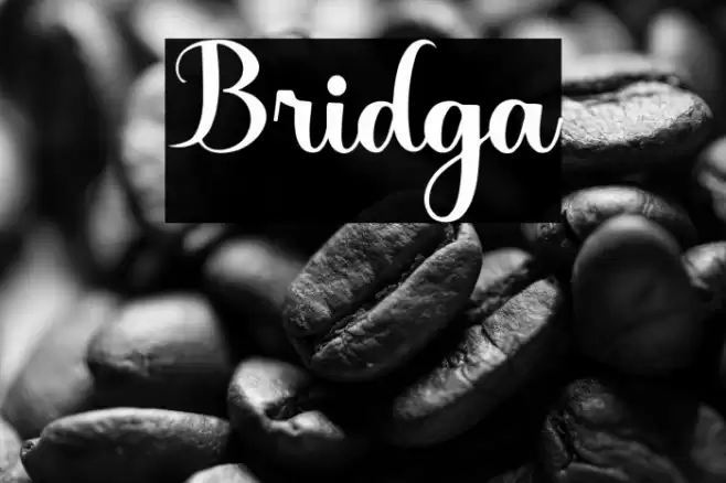 Bridga Font examples