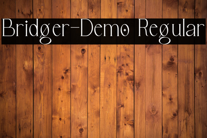 Bridger-Demo Regular Example 1