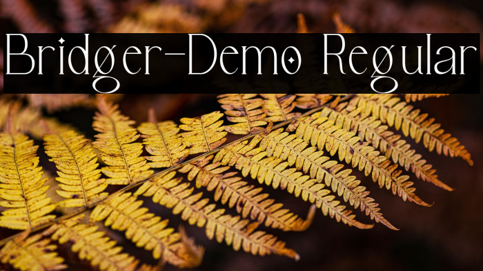 Bridger-Demo Regular Example 2