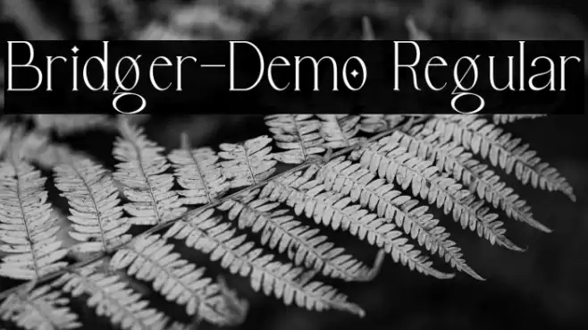 Bridger-Demo Regular Font examples