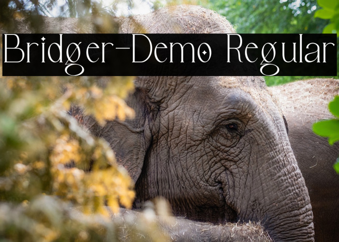 Bridger-Demo Regular Example 3